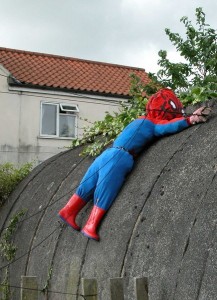 spiderman   